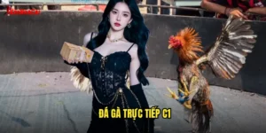 đá gà trực tiếp C1
