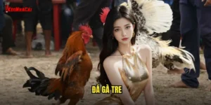 đá gà tre