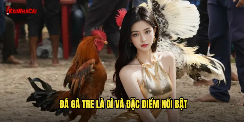 Đá gà tre là gì và đặc điểm nổi bật