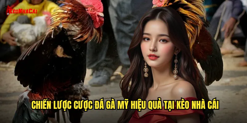 Chiến lược cược đá gà Mỹ hiệu quả tại kèo nhà cái