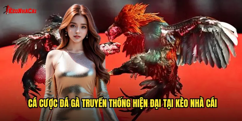 Cá cược đá gà truyền thống hiện đại tại kèo nhà cái