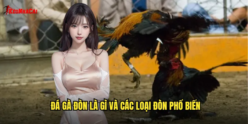 Đá gà đòn là gì và các loại đòn phổ biến