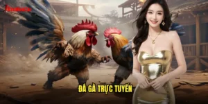 đá gà trực tuyến