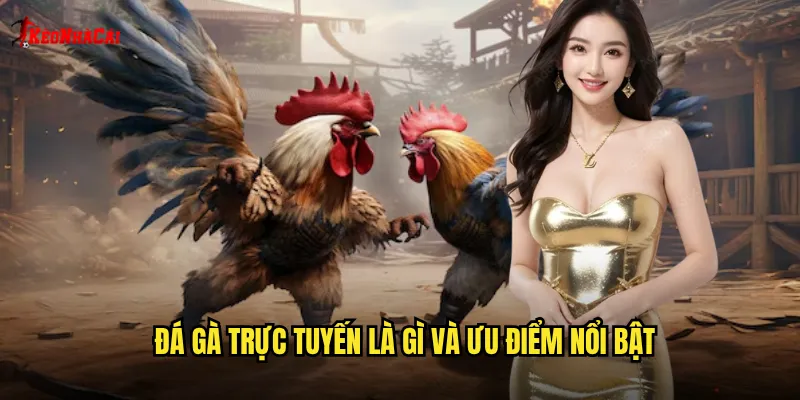 Đá gà trực tuyến là gì và ưu điểm nổi bật