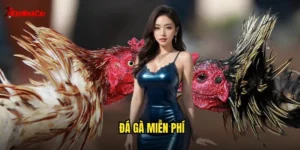 đá gà miễn phí