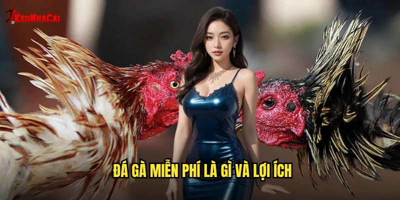 Đá gà miễn phí là gì và lợi ích