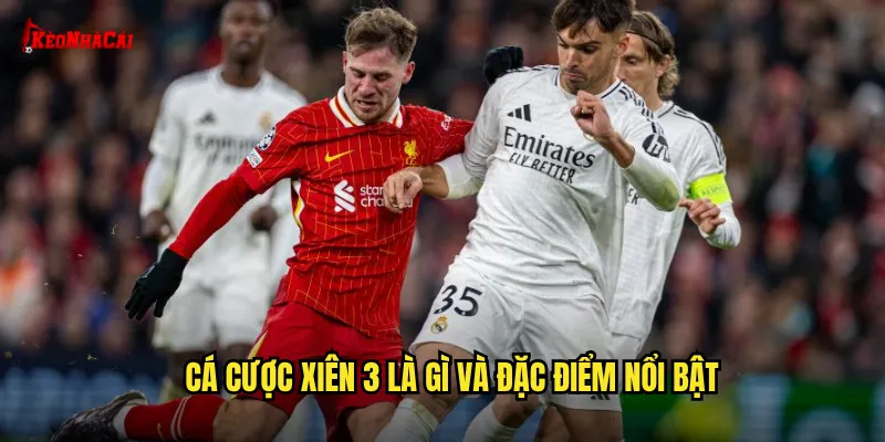Cá cược xiên 3 là gì và đặc điểm nổi bật