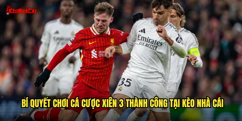Bí quyết chơi cá cược xiên 3 thành công tại kèo nhà cái