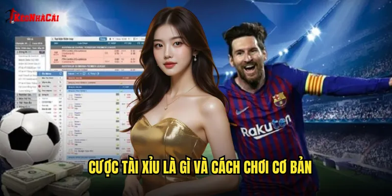 Cược tài xỉu là gì và cách chơi cơ bản