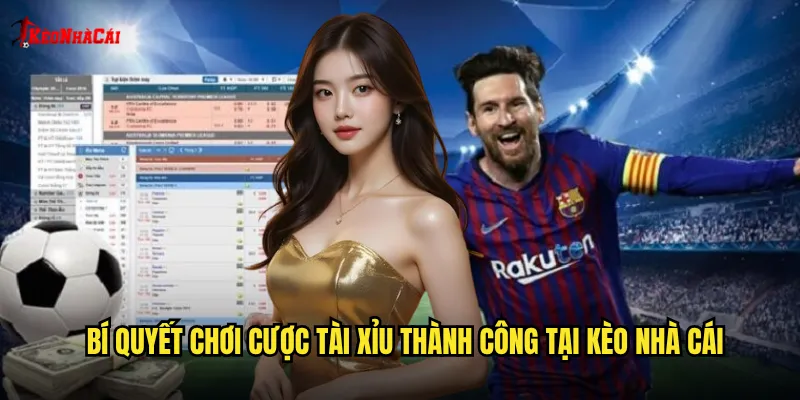Bí quyết chơi cược tài xỉu thành công tại kèo nhà cái