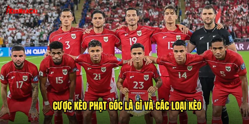 Cược kèo phạt góc là gì và các loại kèo
