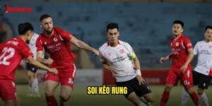 soi kèo rung