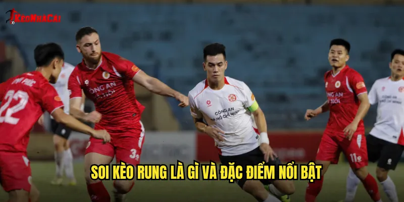 Soi kèo rung là gì và đặc điểm nổi bật