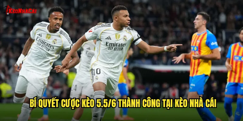 Bí quyết cược kèo 5.5/6 thành công tại kèo nhà cái
