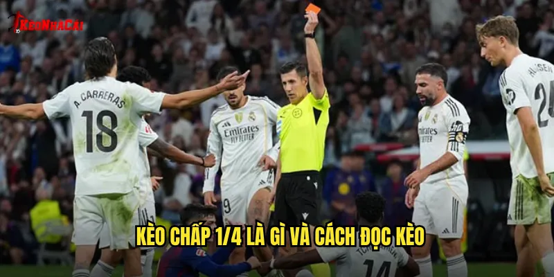 Kèo chấp 1/4 là gì và cách đọc kèo