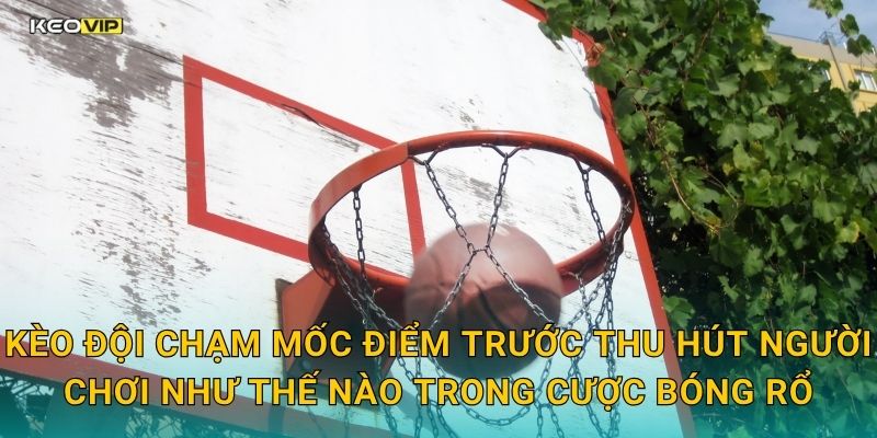 Kèo đội chạm mốc điểm trước thu hút người chơi như thế nào trong cược bóng rổ