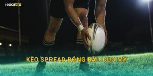 Kèo spread bóng bầu dục Mỹ tại Kèo nhà cái – NFL đang tạo cơn sốt cược mùa giải này