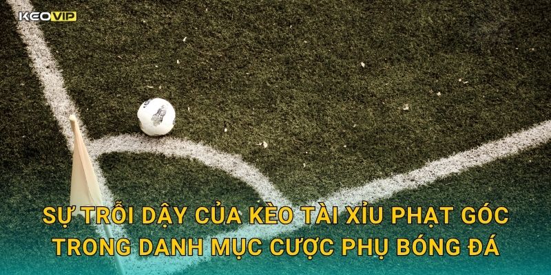 Sự trỗi dậy của kèo tài xỉu phạt góc trong danh mục cược phụ bóng đá
