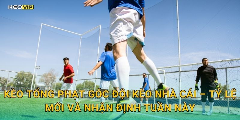 Kèo tổng phạt góc đội Kèo nhà cái – Tỷ lệ mới và nhận định tuần này