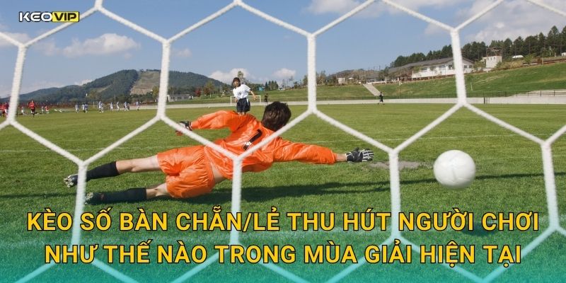 Kèo số bàn chẵn/lẻ thu hút người chơi như thế nào trong mùa giải hiện tại