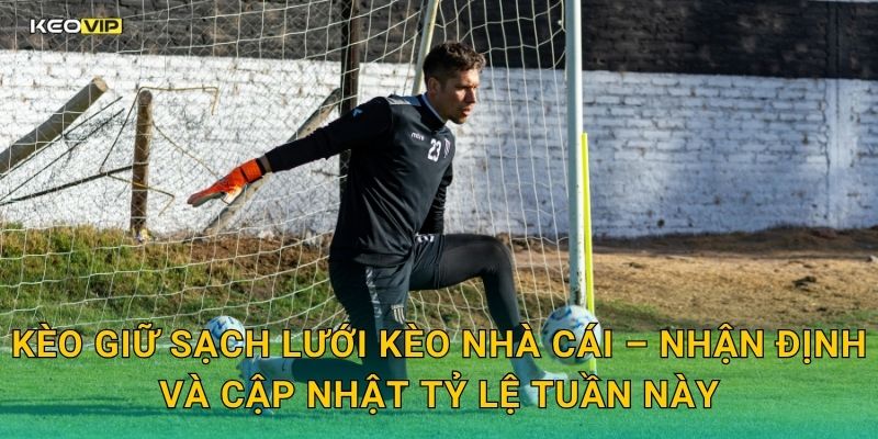Kèo giữ sạch lưới Kèo nhà cái – Nhận định và cập nhật tỷ lệ tuần này