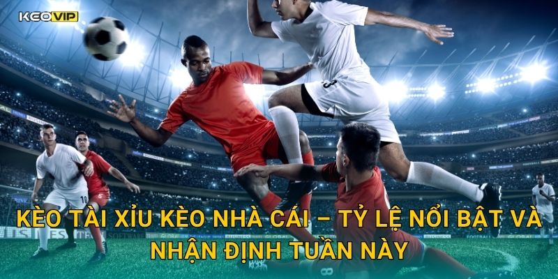 Kèo tài xỉu Kèo nhà cái – Tỷ lệ nổi bật và nhận định tuần này